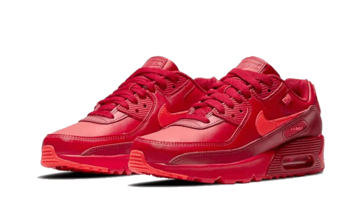 Nike Air Max 90 Chi-City Special - Image 2