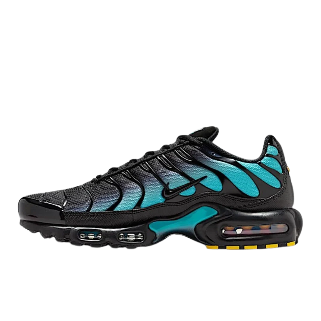 Nike Air Max Plus Black Dusty Cactus
