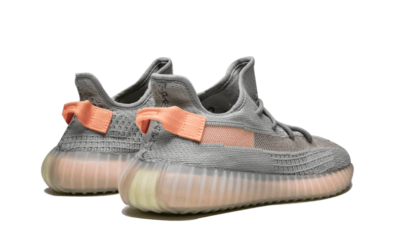 Adidas Yeezy Boost 350 V2 True Form - Image 3